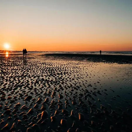 아파트 In With Stunning Sea View 오스텐드