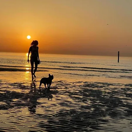 In With Stunning Sea View 아파트